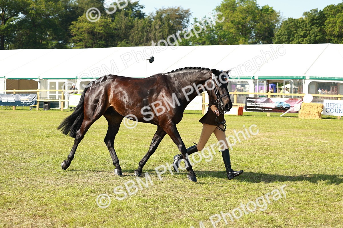SBM_10941 - Class 66-69 - RIHS Ridden Hunters Inc Small Hunter