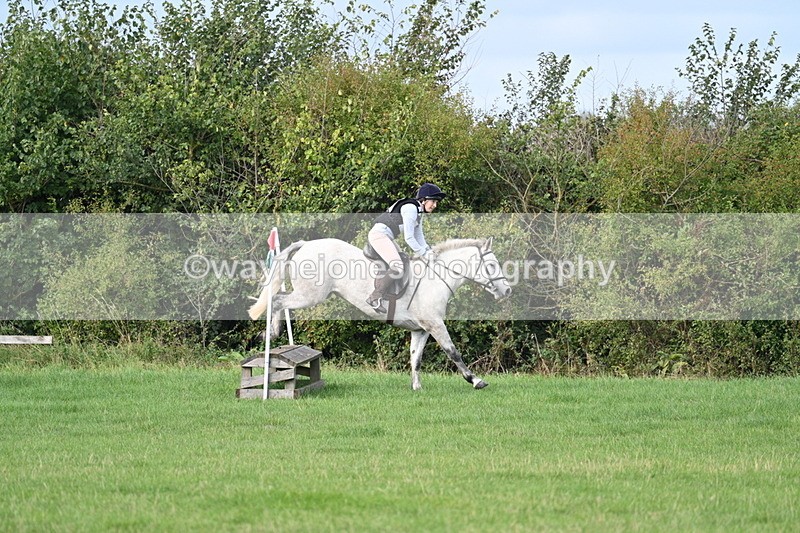 WJ7_8413 - 60cm Pairs