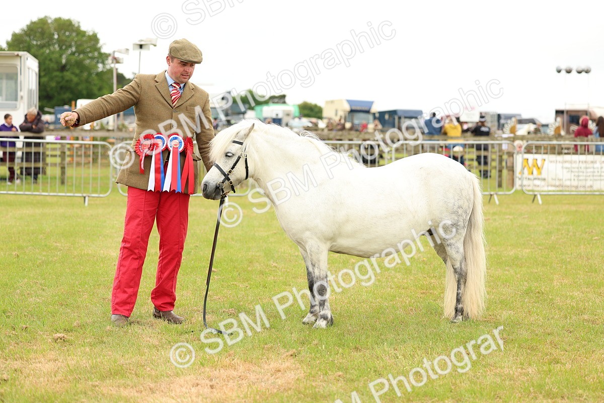 SBM_03578 - Class 58-67 - M&M Non Welsh Pony In hand