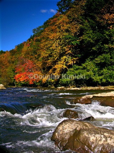 Fall Run - Fall and Winter