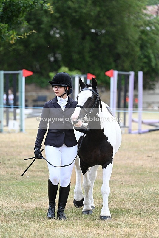 WJ7_1419 - Class 4 Prettiest Mare up to 14.2hh in hand