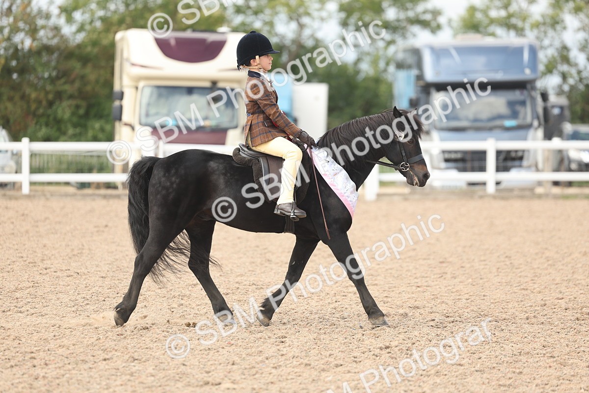 SBM_15938 - Class 310 - First Ridden Pony