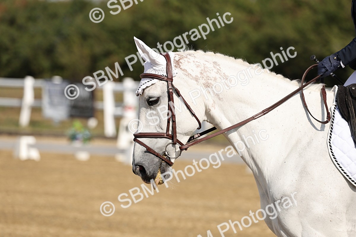 SBM_017042 - Class 12-14 - Intro 2-Prelim 5