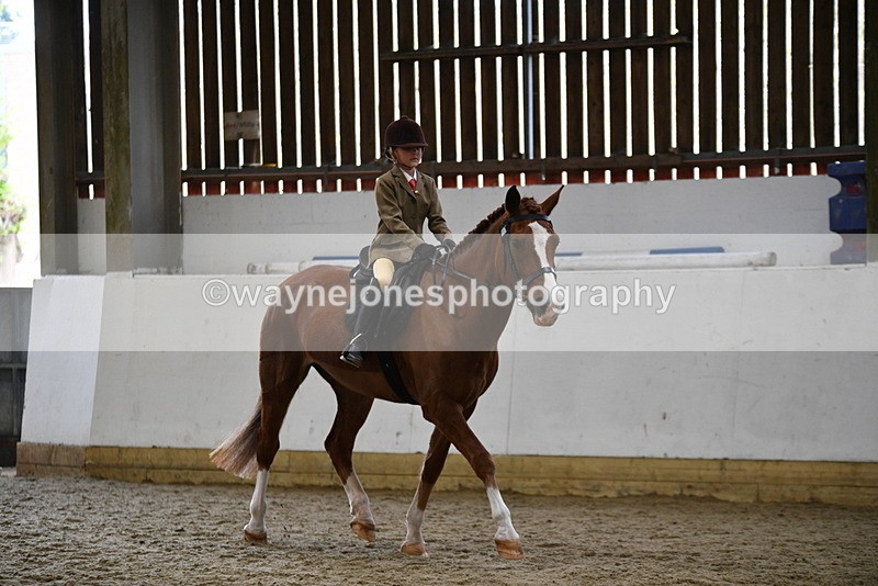 WJ5_6382 - Class 9 Ridden Veteran