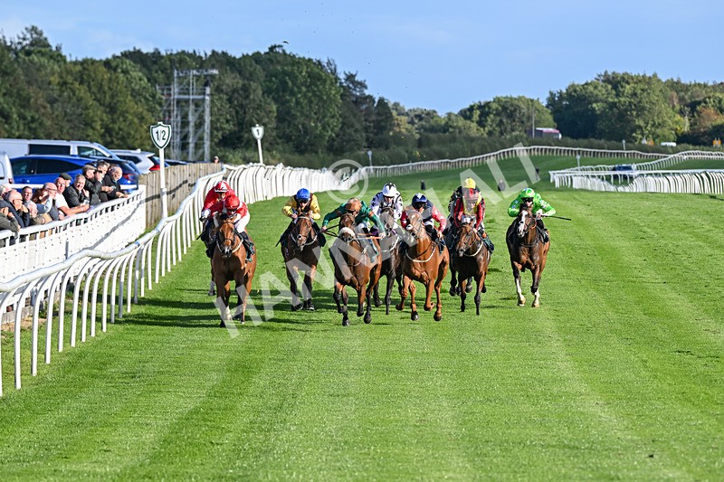 080926-Race 7-Military Girl-3277 - Race 7 5.21pm RMG Proudly Supports Teenage Cancer Trust Handicap