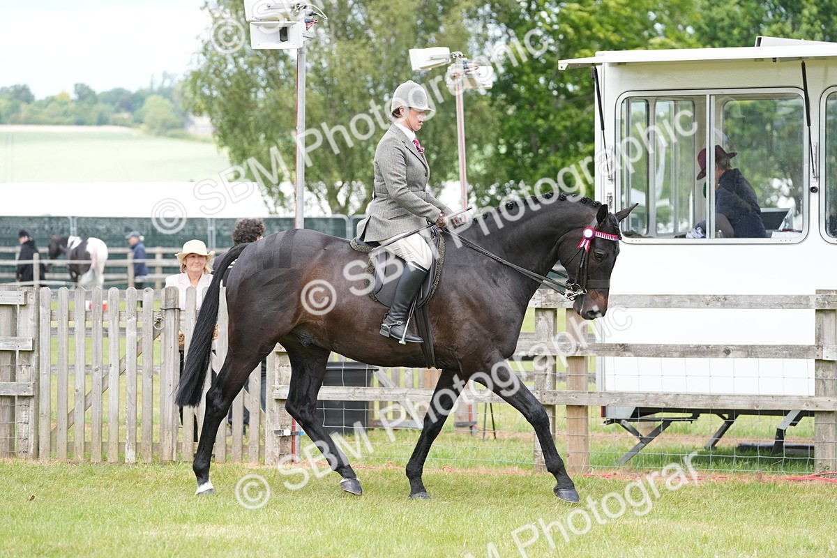 SBM_16153 - Class 105-106 - RIHS Riding Horses