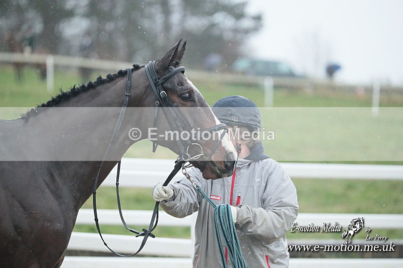 PtP 101223 157 - New Forest Hounds PtP Larkhill 10/12/23