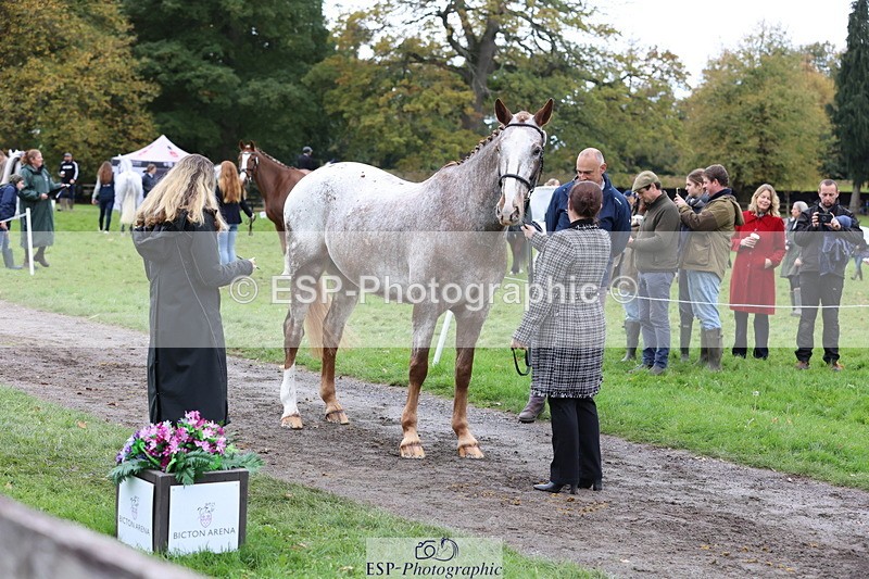 251026A-113236-25511 - F-426-Tracey.Neville