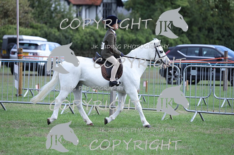 APP_4123 - Class 15a/b Pony club pony/Riding club horse