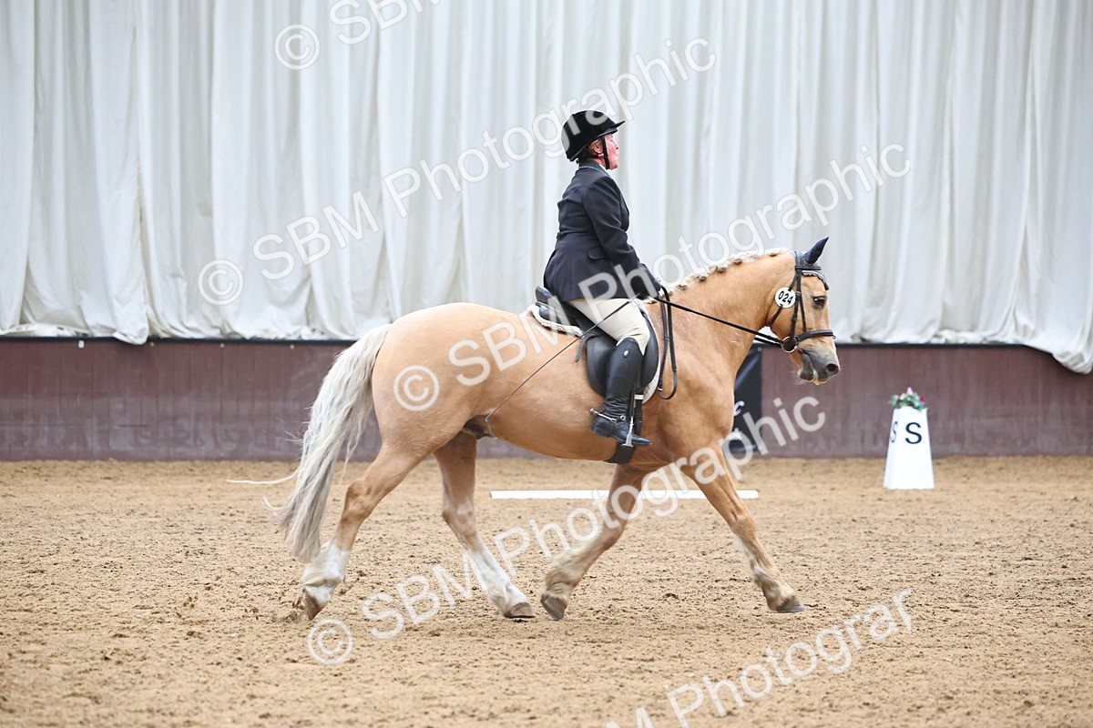 SBM_005390 - Class 3 - Novice 5