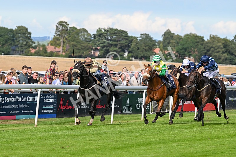 290725-Race 6-Jojo Rabbit-0990