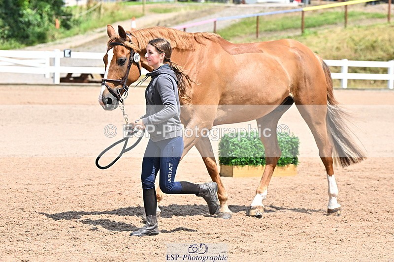 240718A-105315-01755 - Trot Up 1pm to 2pm