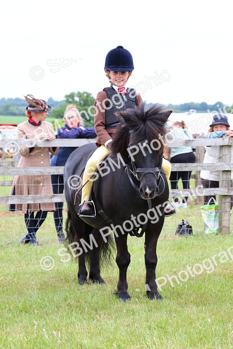 SBM_08799 - Class 42-43 - LIHS BSPS Heritage Working Sports Pony