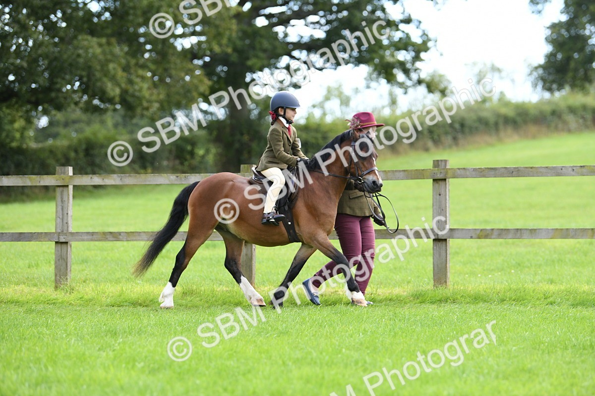 SBM_42428 - S20 - Lead Rein Mountain & Moorland Pony