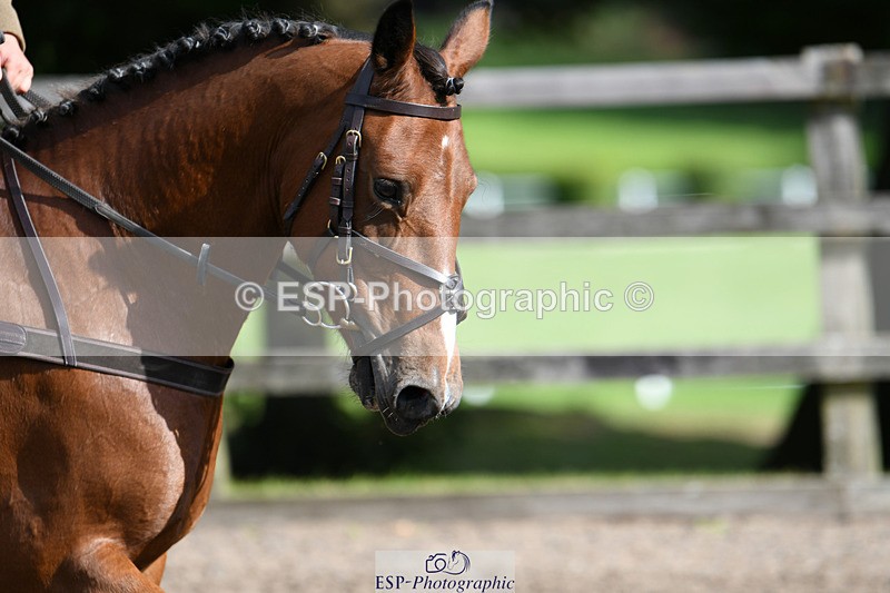 240825X-095636-30877 - 70cm SJ 9.15 to 10.21