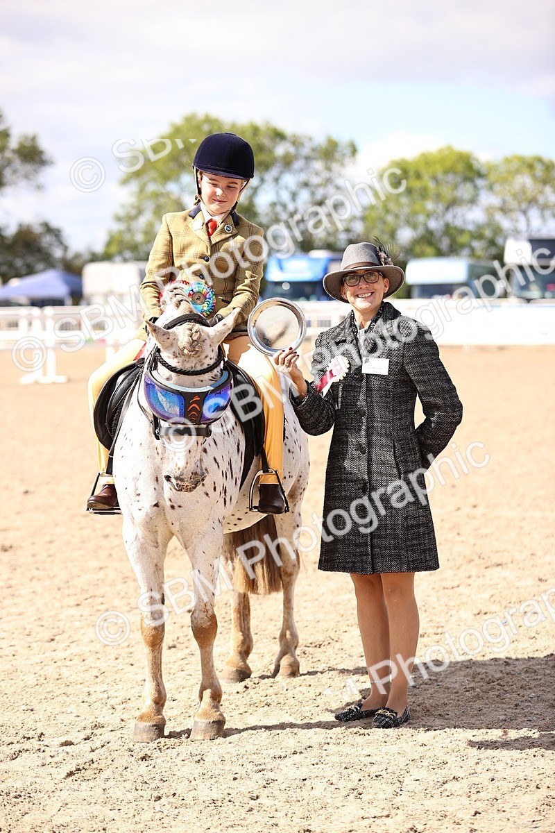 SBM_12886 - Class 409 - Grassroots Ridden - Pony