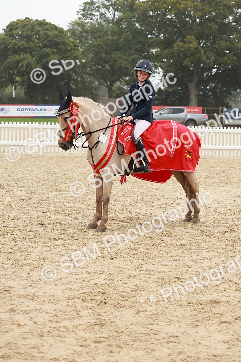 SBM_73537 - Supreme Championship Junior Pony 60cm & 65cm