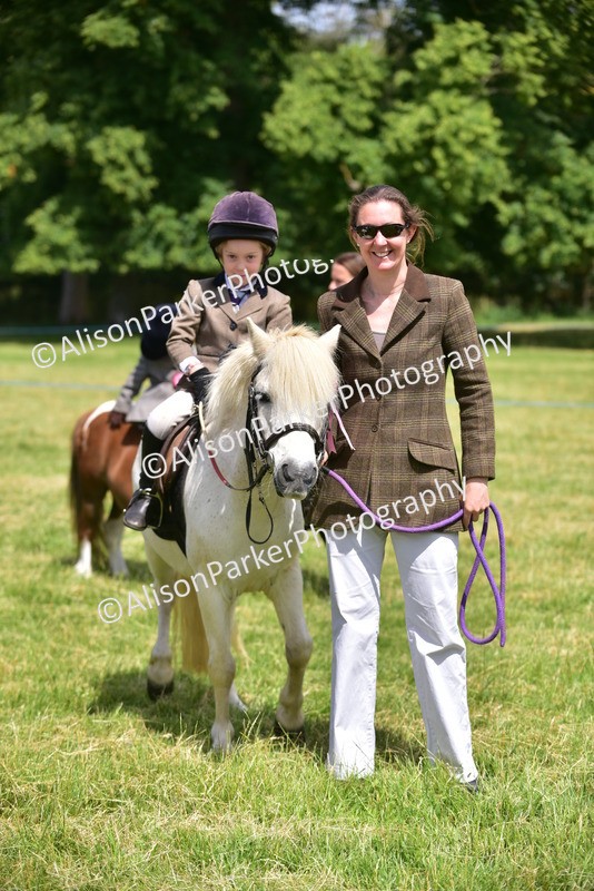 20260614-1320 - Class 11a - Lead Rein Pony (Unplaited)