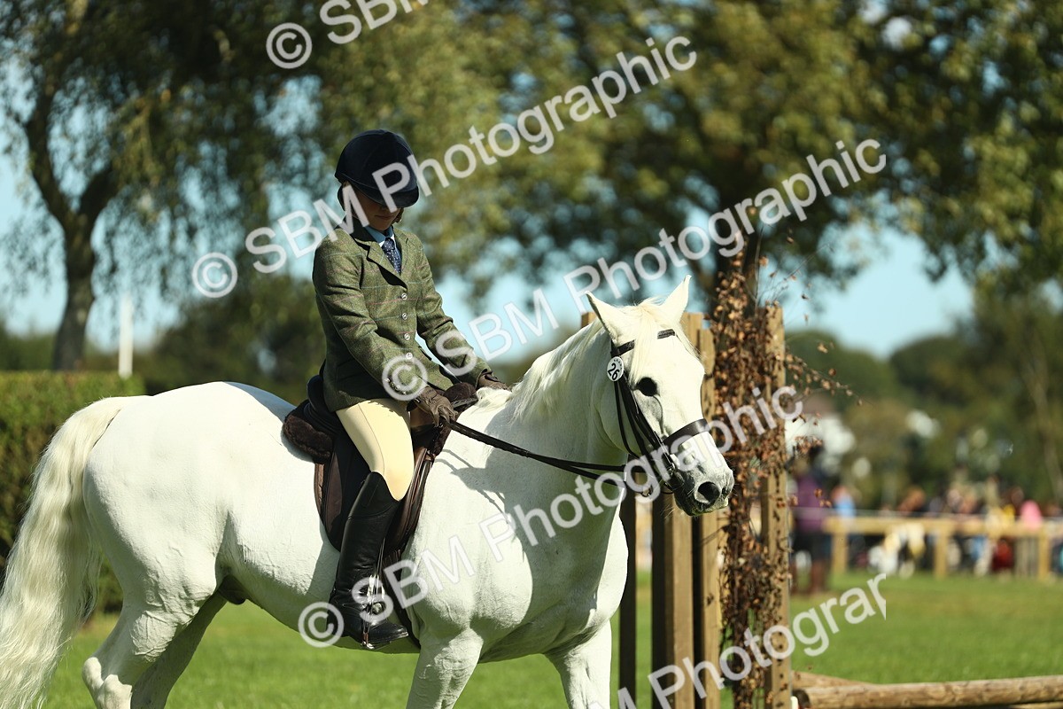 SBM_39189 - S29 - Novice & Newcomers Working Hunter Pony