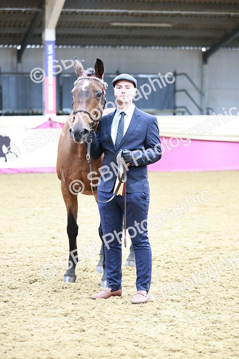 SBM_00450 - Class 1A - Area IH Diamond