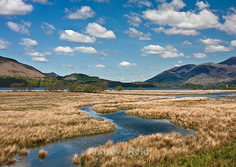  - Landscapes