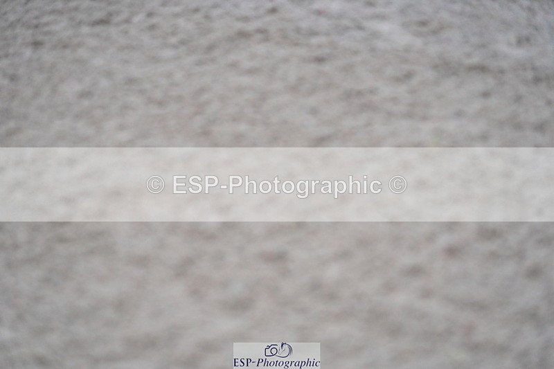 231017A-142908-07379 - Cls 29 Snr Foxhunter