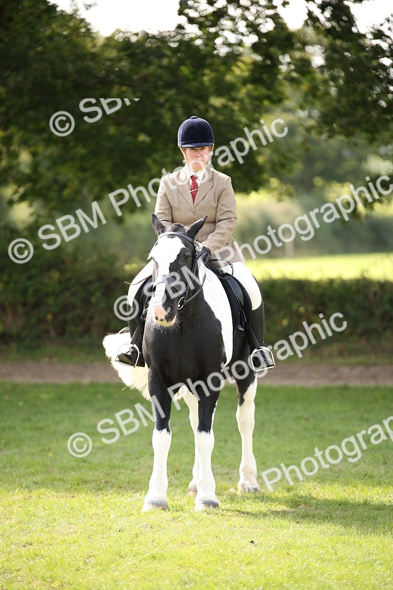 SBM_70140 - S65 - Piebald & Skewbald Horse Ridden