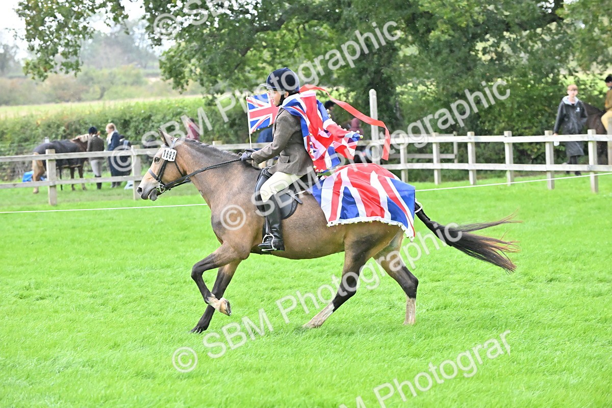 SBM_42959 - S12 - Family Horse & Pony