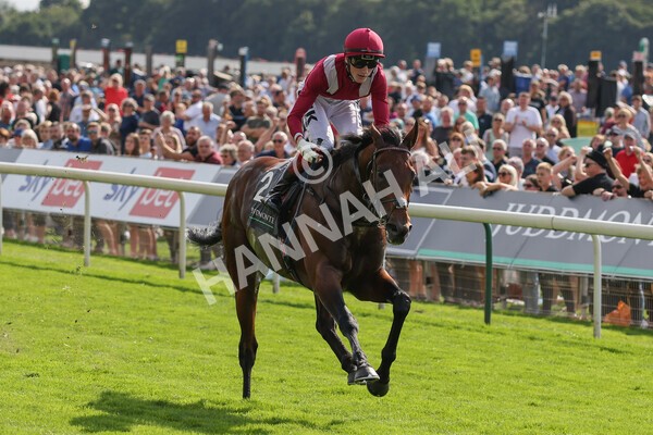 yr18082021r4-77 - Race 4 3.35pm Juddmonte International Stakes (British Champion Series race)