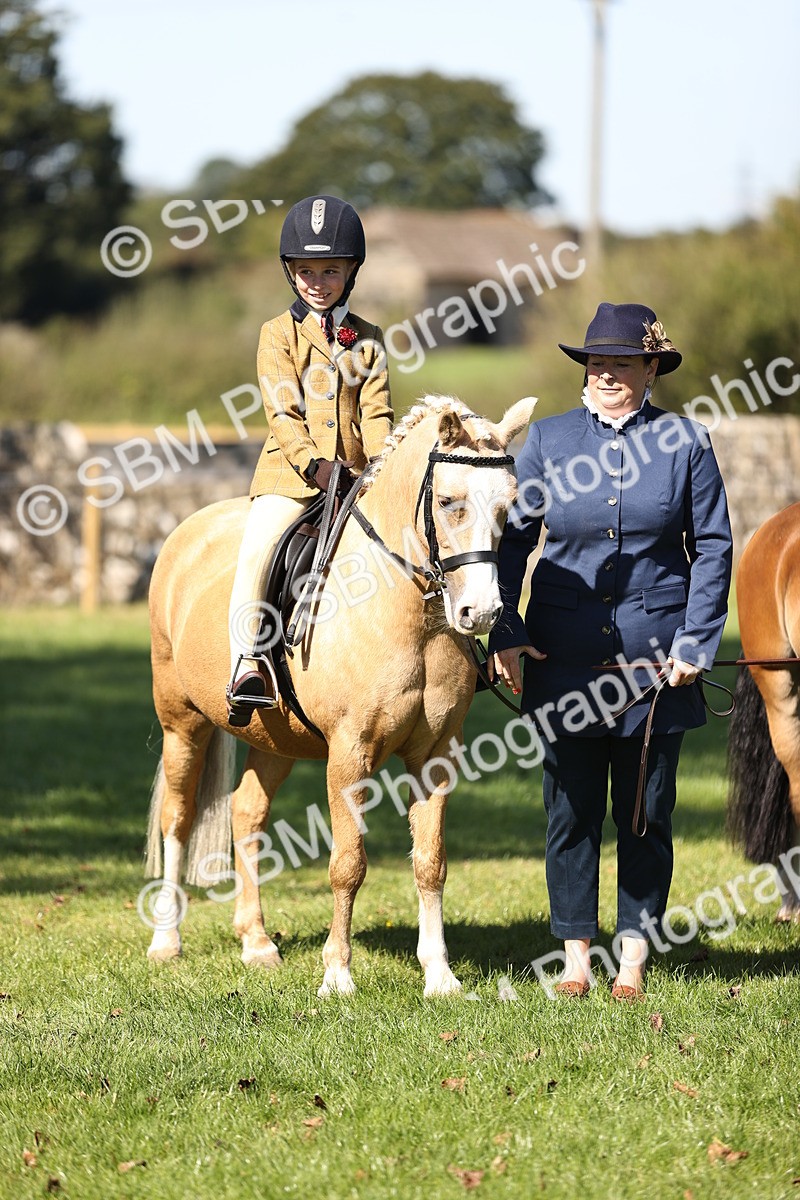 SBM_19360 - S3 - TSR Ridden Pony Showing