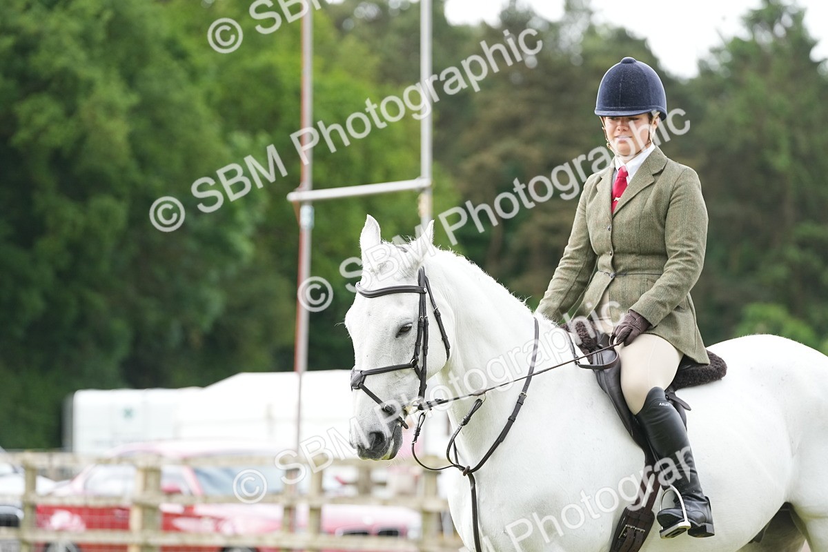 SBM_12776 - Class 97-98 - LIHS BSHA Rising Star Working Show Horse Hunter