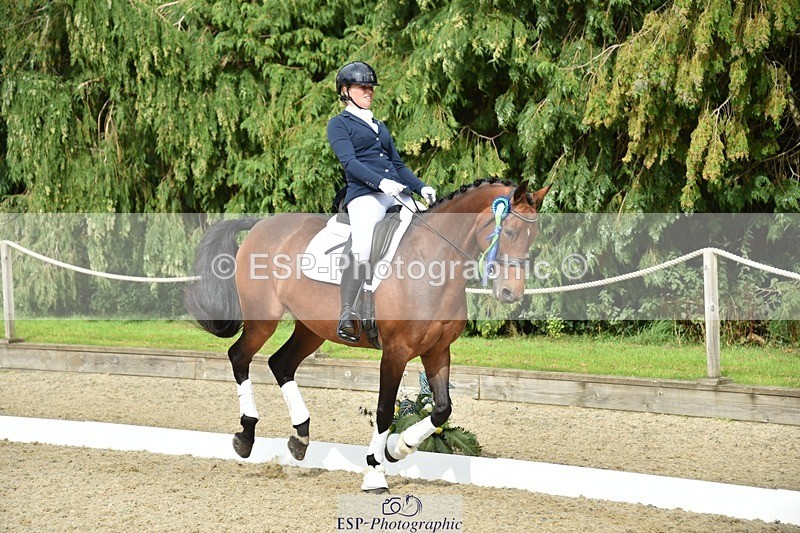 230812-160932-05441 - Novice Bronze Presentations