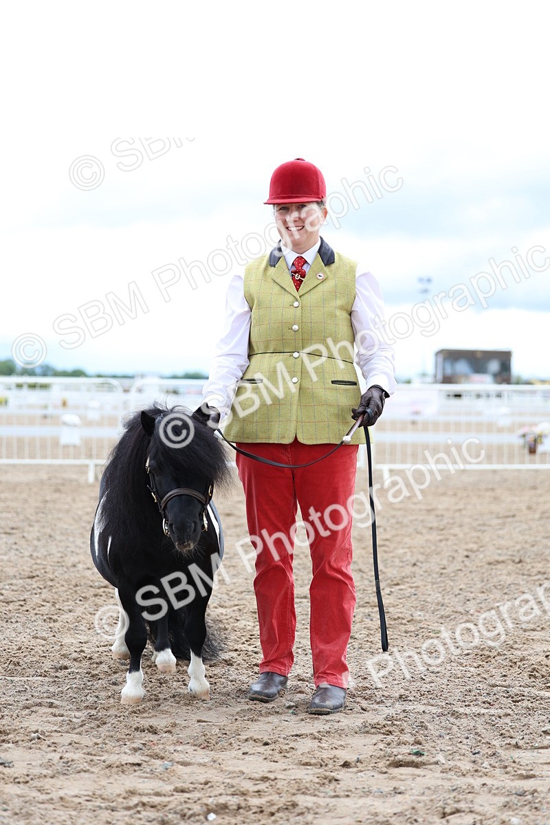 SBM_00284 - Class 15 - IH Coloured