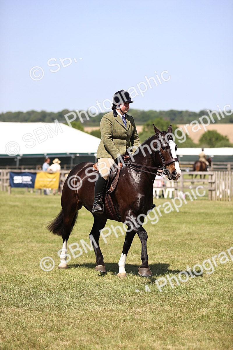 SBM_17918 - Class 81-83 - TSR Ridden Amateur of the Year - Horses