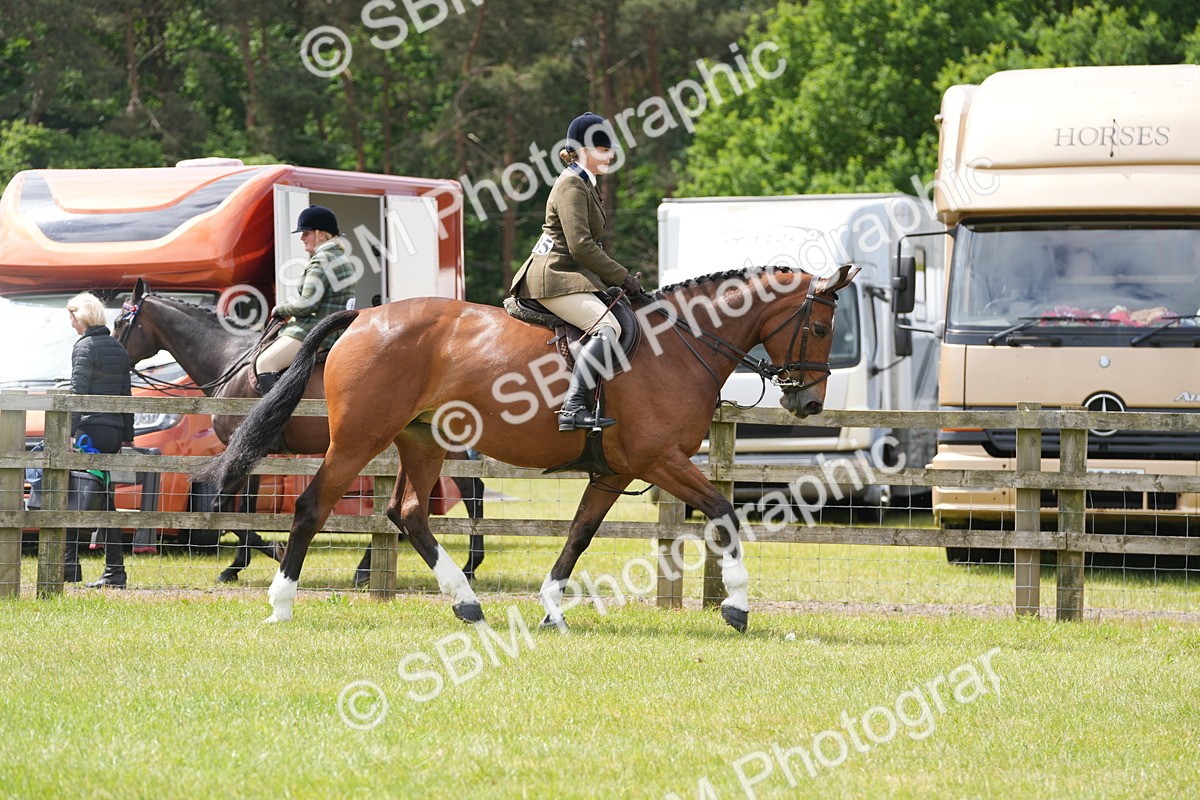 SBM_14995 - Class 100-102 - RIHS Working Hunter