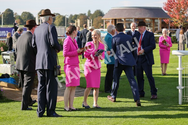 yr08102021r2-28 - Race 2 2.40pm Racing to School EBF Novice Stakes