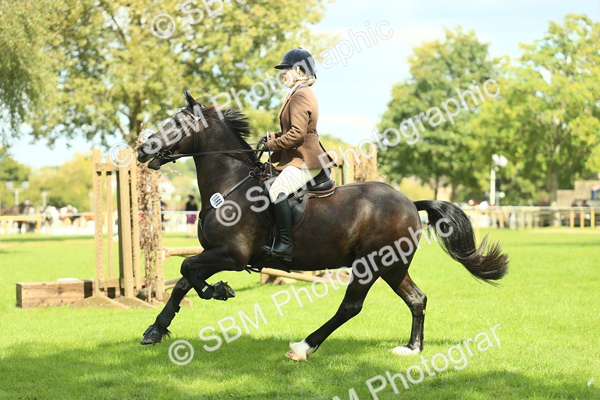 SBM_42882 - S30 - M&M Working hunter Pony