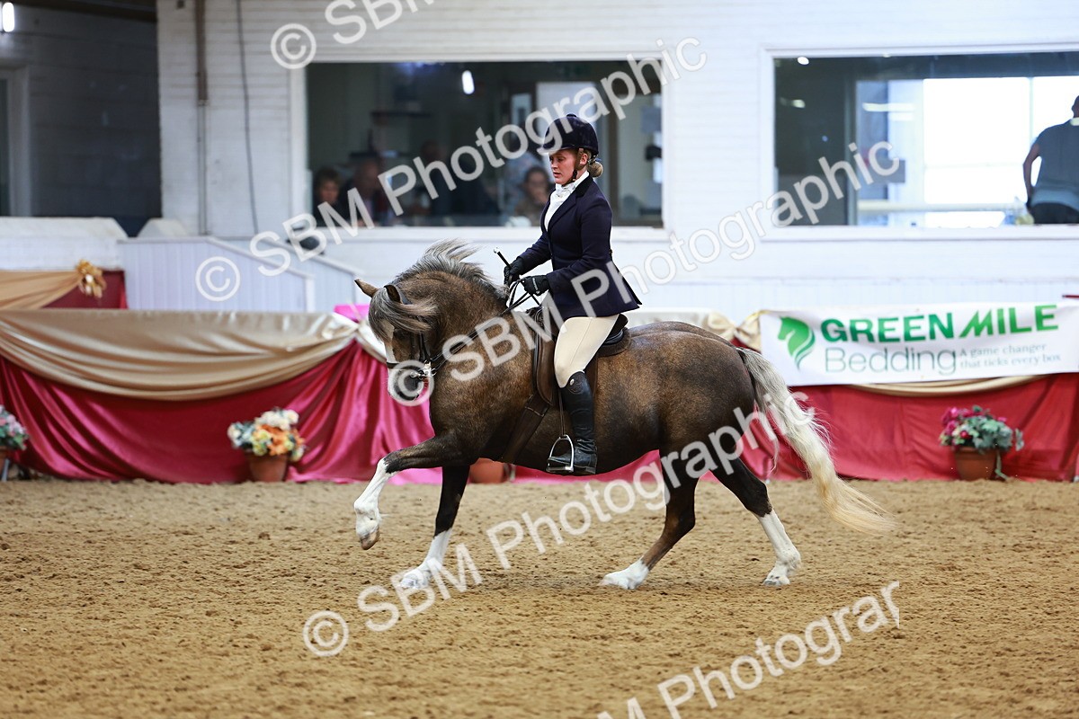 SBM_23771 - Class 905 - Supreme Final - Ridden Veteran