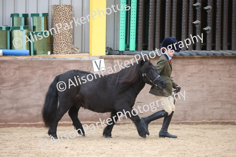 20251109-1198 - Young Handler Championship