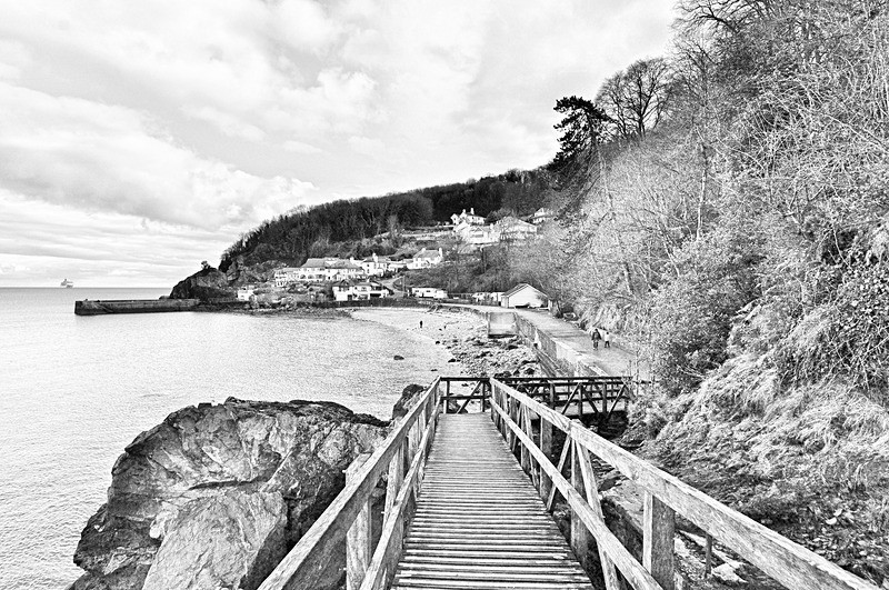 The Wooden Steps at Babbacombe - Black and White