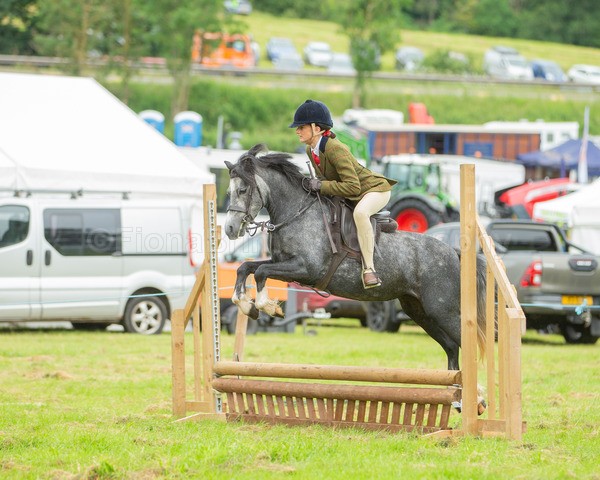 Dunblane show-58 - Dunblane and Doune Show Ring 1