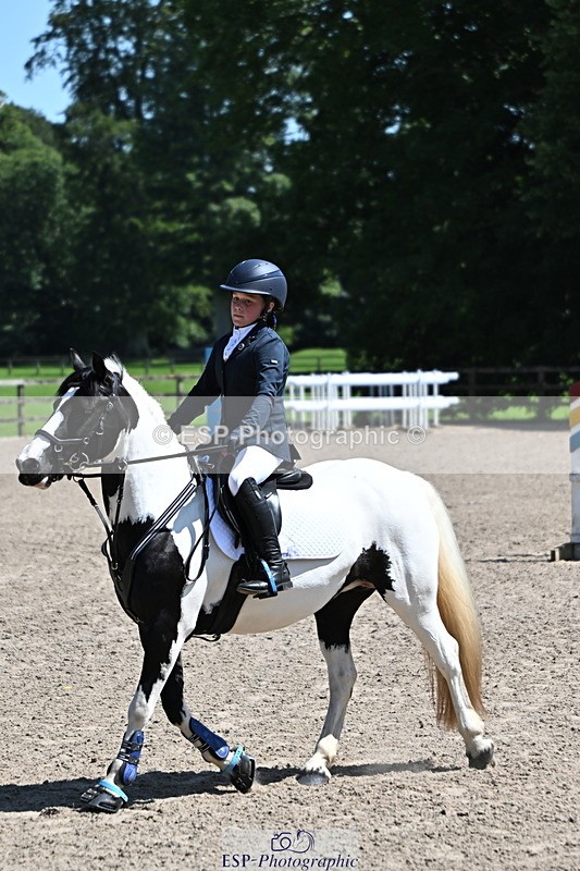 240729B-122236-02643 - Showjumping Competition