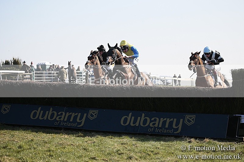 PtP 240218 159 - Vine & Craven Hunt Point-to-Point Barbury racecourse 24/02/18