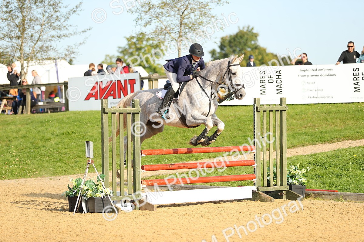 SBM_60285 - J41 - Grand Tour 95cm Championship