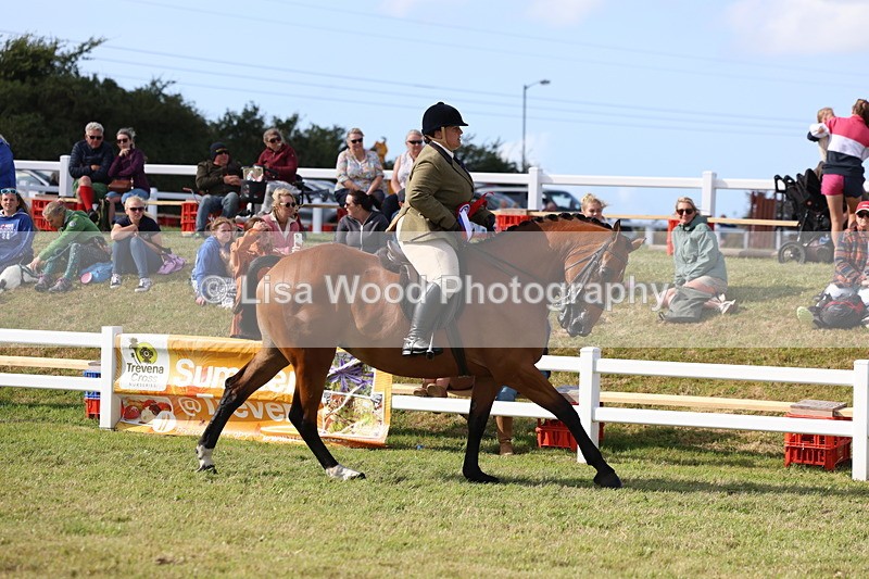 3E7A3879 - Supreme Championship