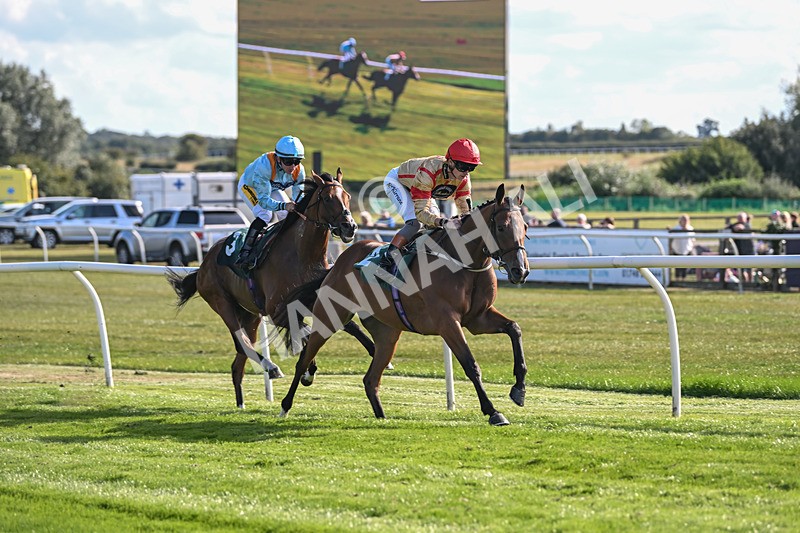 090925-Race 4-U Sure Do-8811 - Race 4