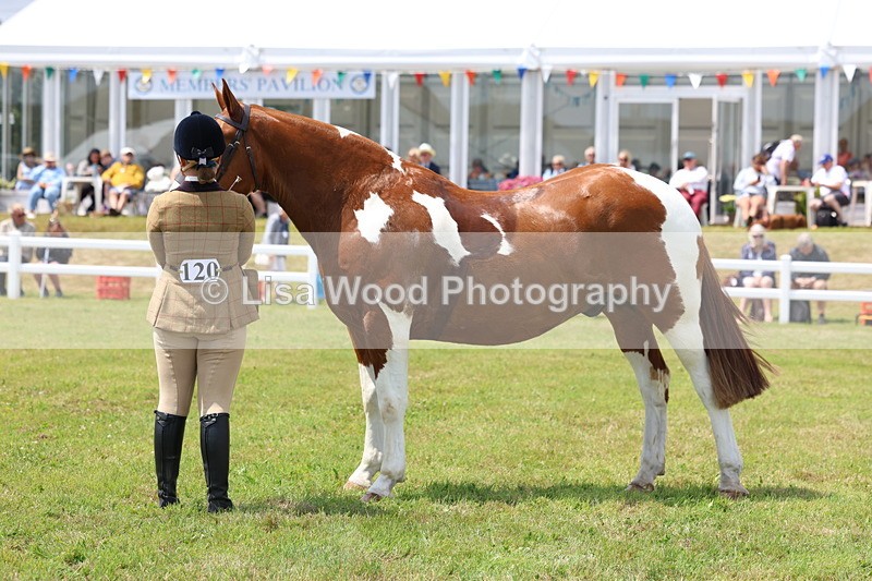 3E7A2115 - Class 10: Open Cob