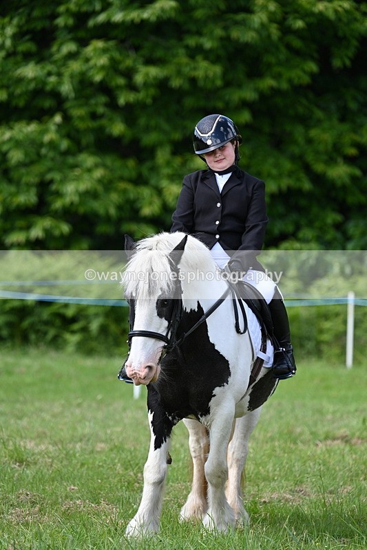 WJ7_0790 - Class 8 First Rally Pony