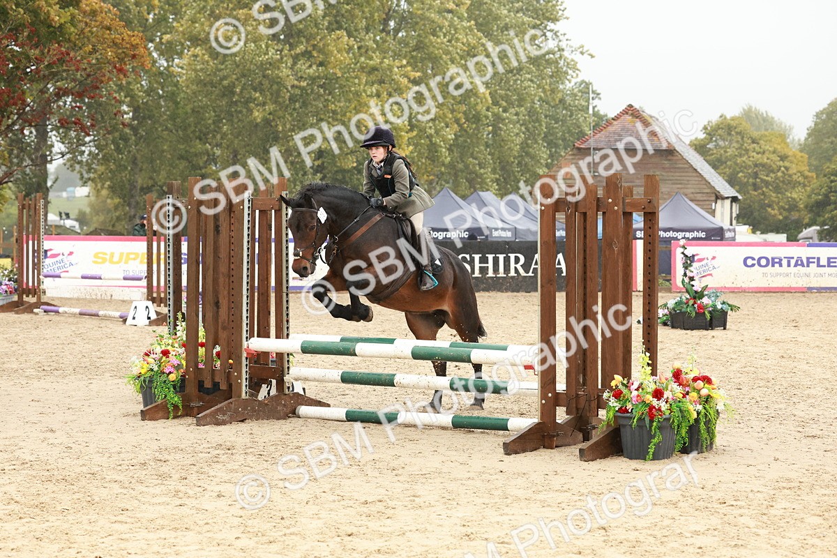 SBM_73286 - Supreme Championship Junior Pony 60cm & 65cm