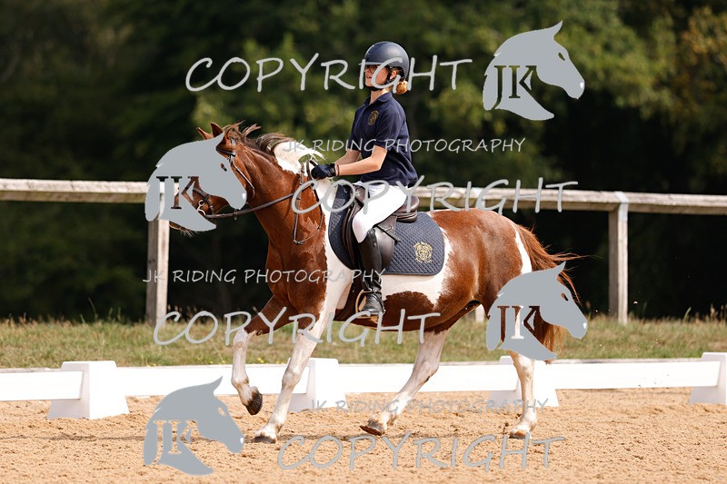 _R6A2328 - Dressage Morning